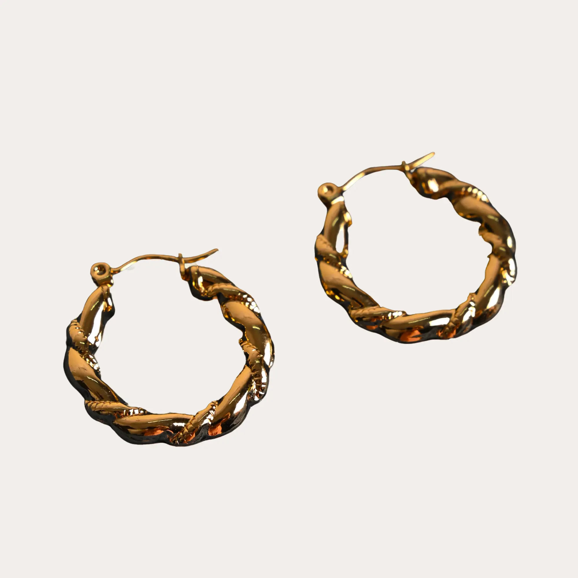 Twisted Round Hoop Earrings - Main